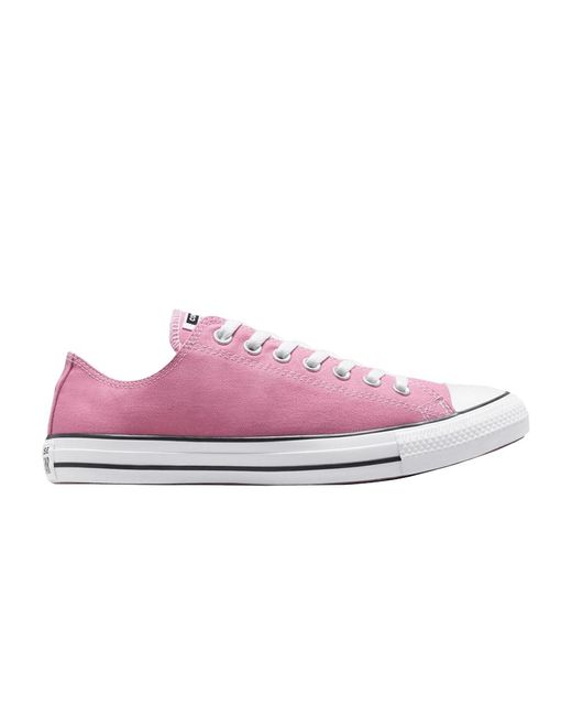 Converse Chuck Taylor All Star Low 'magic Flamingo' in Pink for Men | Lyst