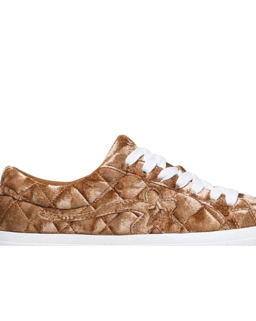 converse crushed velvet