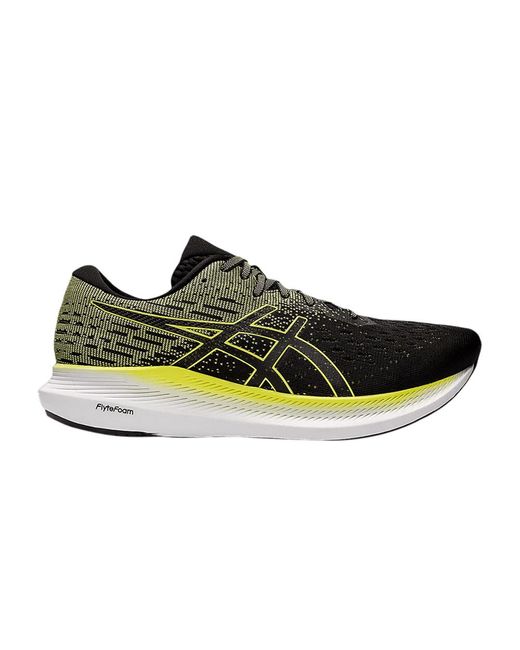 asic evoride 2
