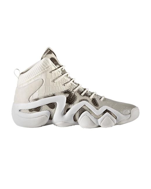 adidas Crazy 8 Adv in Gray for Men | Lyst