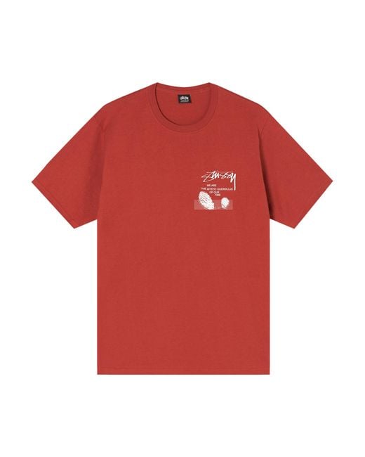 Stussy Desert Sky T-shirt 'brick' in Red for Men | Lyst
