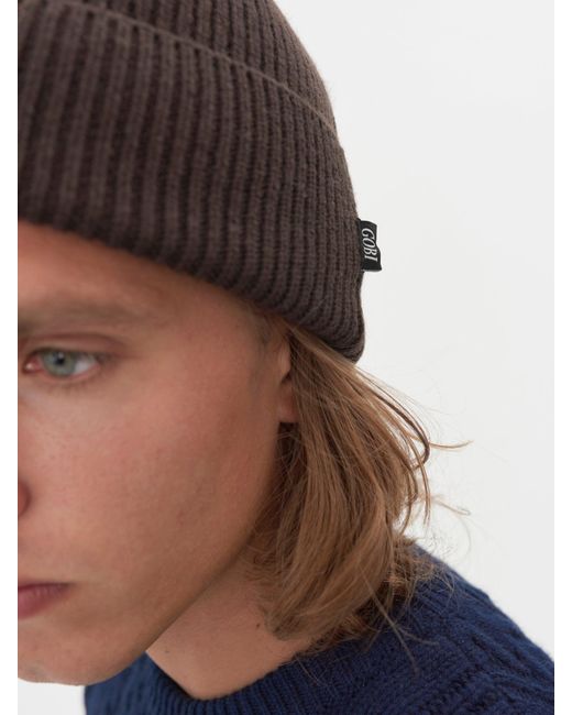 gobi cashmere hat