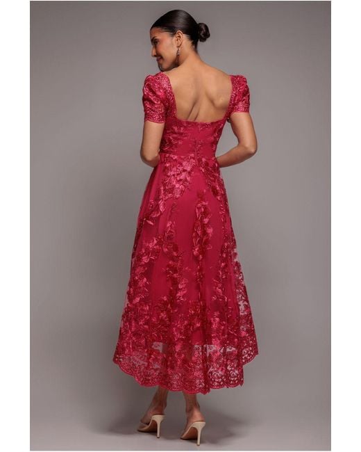 Goddiva Pink Scalloped Neck Embroidered Lace High Low Midi Dress