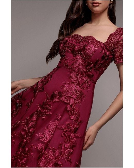 Goddiva Scalloped Neck Embroidered Lace High Low Midi Dress