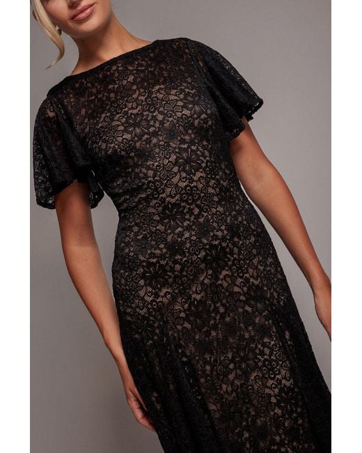 Goddiva Black Flutter Sleeve Lace A-Line Midi Dress