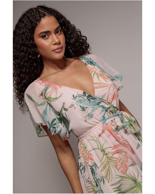 Goddiva Pink Floral Printed Flutter Sleeve Chiffon Midi Dress