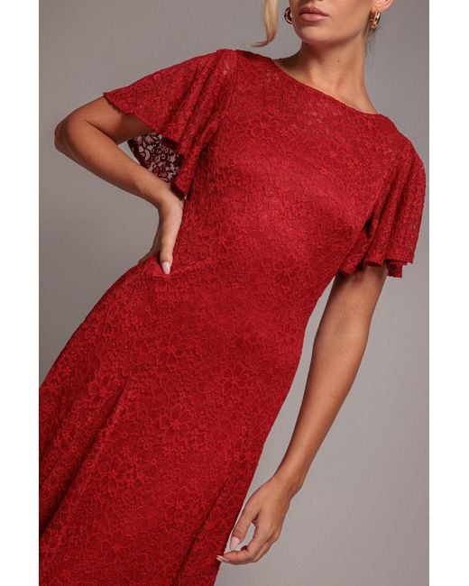 Goddiva Red Flutter Sleeve Lace A-Line Midi Dress