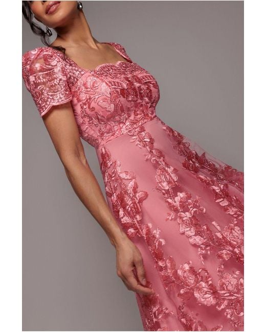 Goddiva Pink Scalloped Neck Embroidered Lace High Low Midi Dress