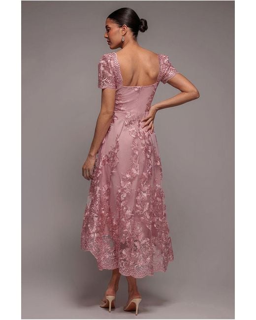 Goddiva Pink Scalloped Neck Embroidered Lace High Low Midi Dress