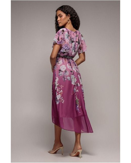 Goddiva Pink Flutter Sleeve A-Line Chiffon Floral Printed Midi Dress
