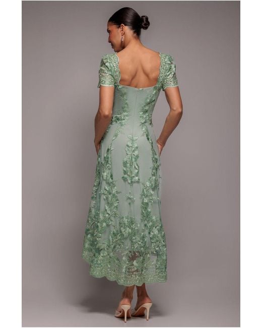 Goddiva Green Scalloped Neck Embroidered Lace High Low Midi Dress