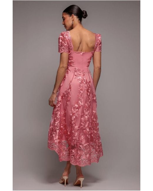 Goddiva Pink Scalloped Neck Embroidered Lace High Low Midi Dress