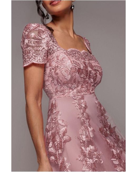 Goddiva Pink Scalloped Neck Embroidered Lace High Low Midi Dress