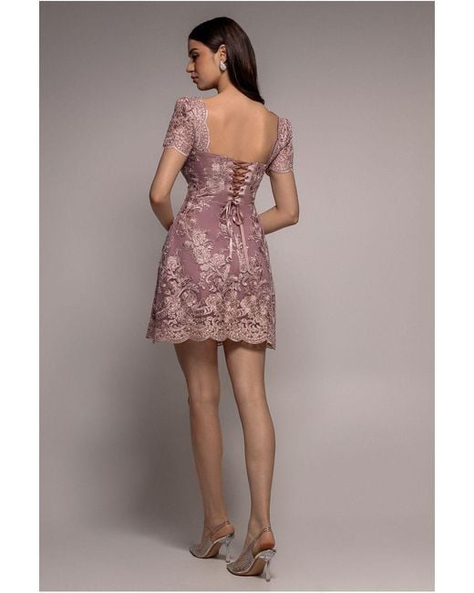Goddiva Pink Scallop Edge Corset Back Structured Lace Mini Dress