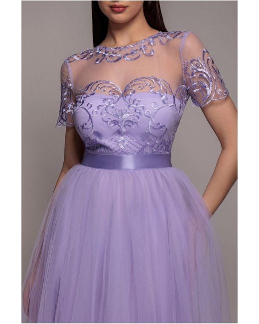 Goddiva Purple Embroidered Mesh Maxi Dress
