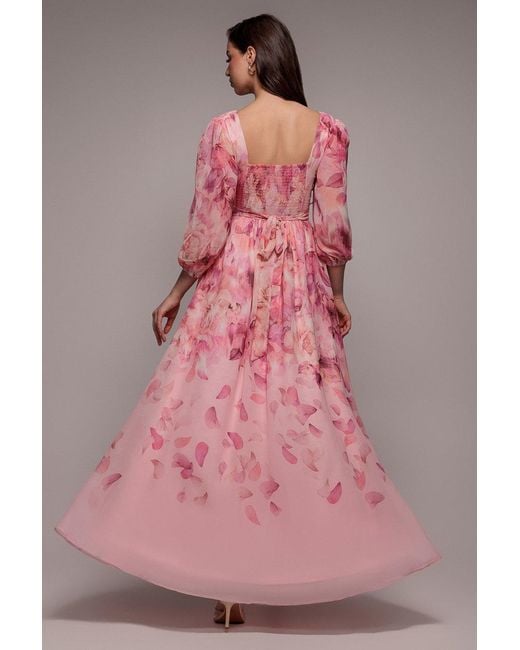 Goddiva Pink Floral Print Shirred Back A Line Maxi Dress