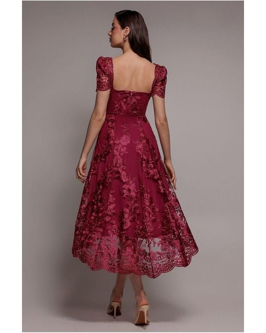 Goddiva Scalloped Neck Embroidered Lace High Low Midi Dress