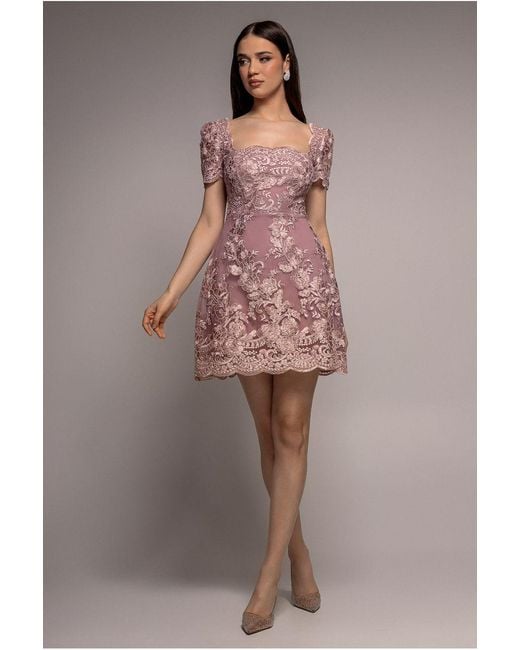 Goddiva Pink Scallop Edge Corset Back Structured Lace Mini Dress
