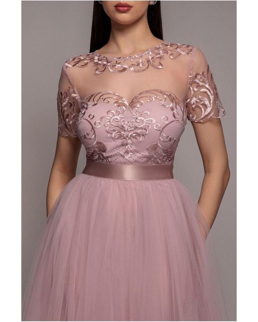Goddiva Pink Embroidered Mesh Maxi Dress
