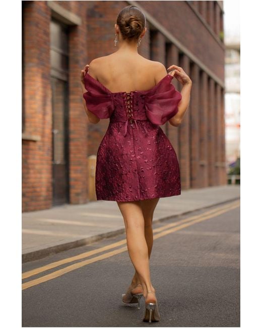 Goddiva Brown Lace Up Jacquard Mini Dress With Organza Wings