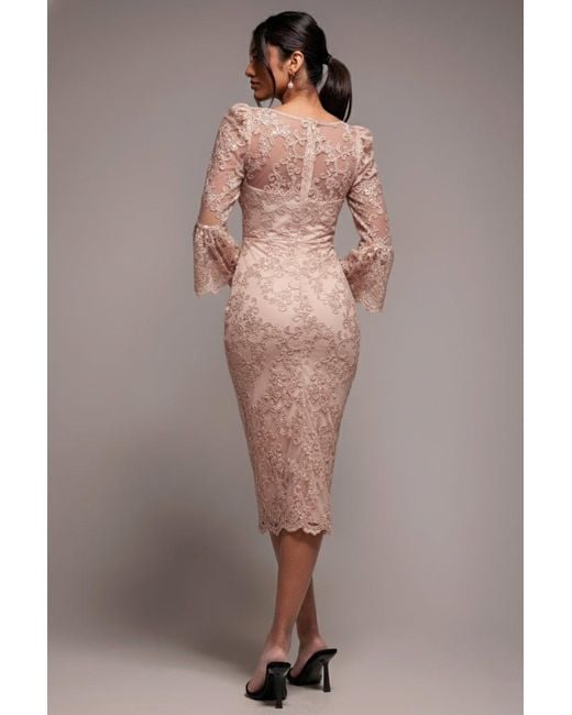 Goddiva Pink Scallop Lace Midi