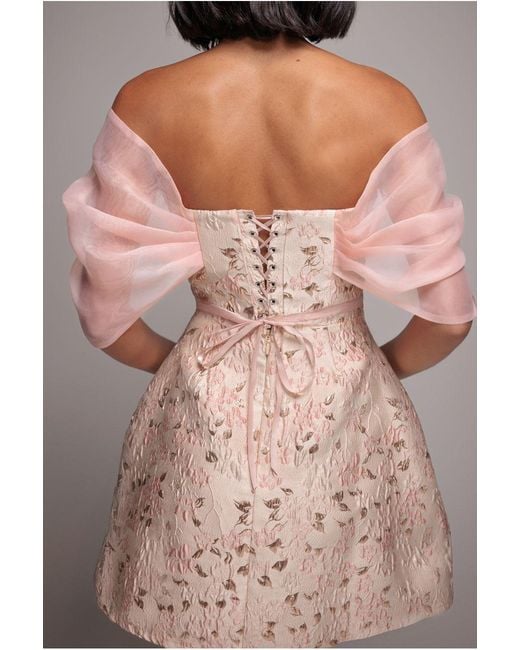 Goddiva Multicolor Lace Up Jacquard Mini Dress With Organza Wings