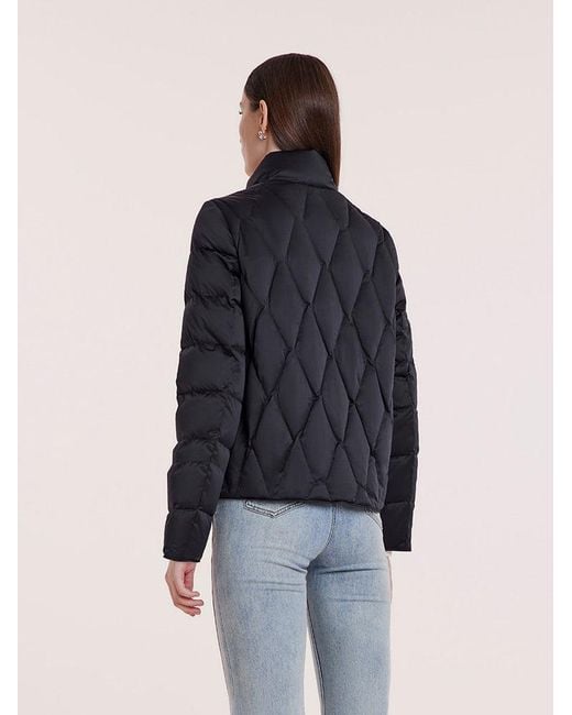 GOELIA Blue Stand Collar Goose Down Jacket