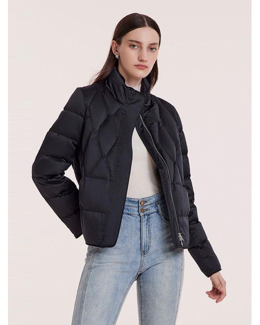 GOELIA Blue Stand Collar Goose Down Jacket