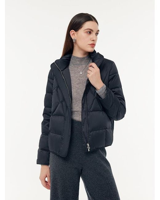 GOELIA Blue Stand Collar Goose Down Jacket