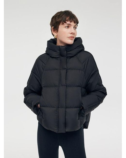 GOELIA Blue Hooded Goose Down Jacket