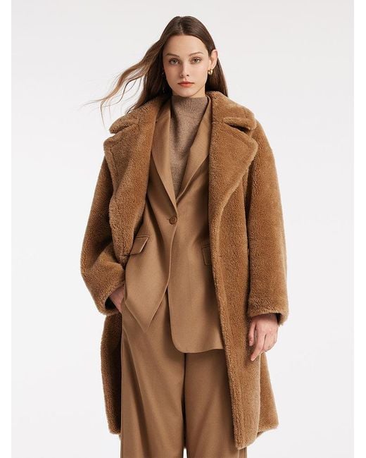 Lamb wool teddy coat discount