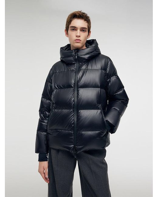 GOELIA Blue Windproof Warm Hooded Goose Down Jacket