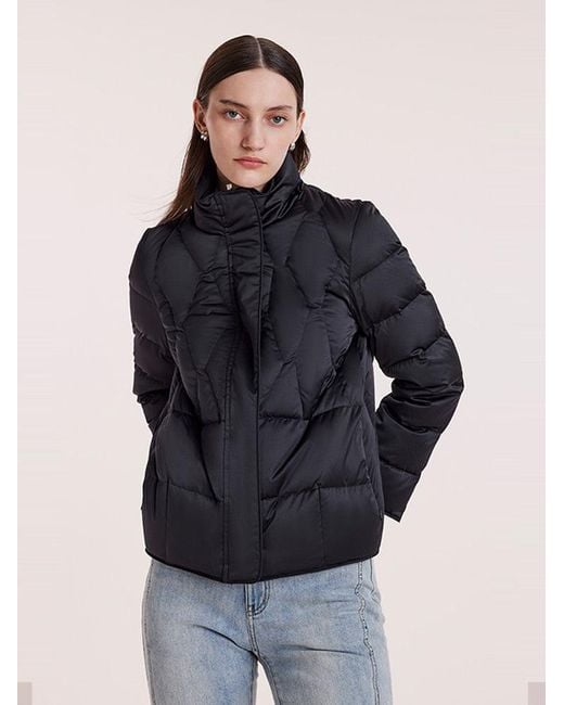 GOELIA Blue Stand Collar Goose Down Jacket