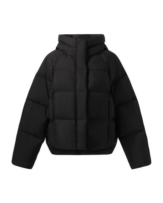 GOELIA Blue Hooded Goose Down Jacket