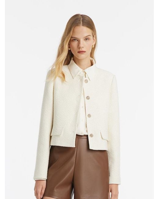 GOELIA Natural Wool Blend Stand Collar Single-Breasted Jacket For Work And Daily