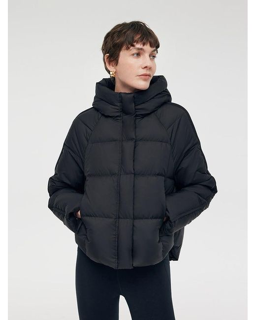 GOELIA Blue Hooded Goose Down Jacket