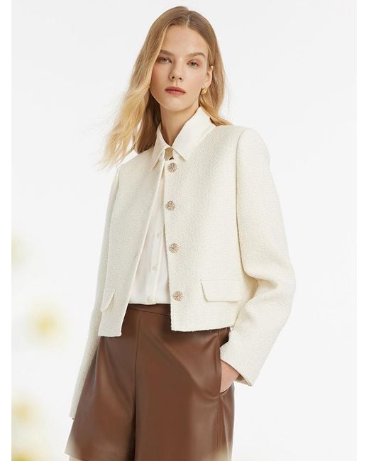 GOELIA Natural Wool Blend Stand Collar Single-Breasted Jacket For Work And Daily
