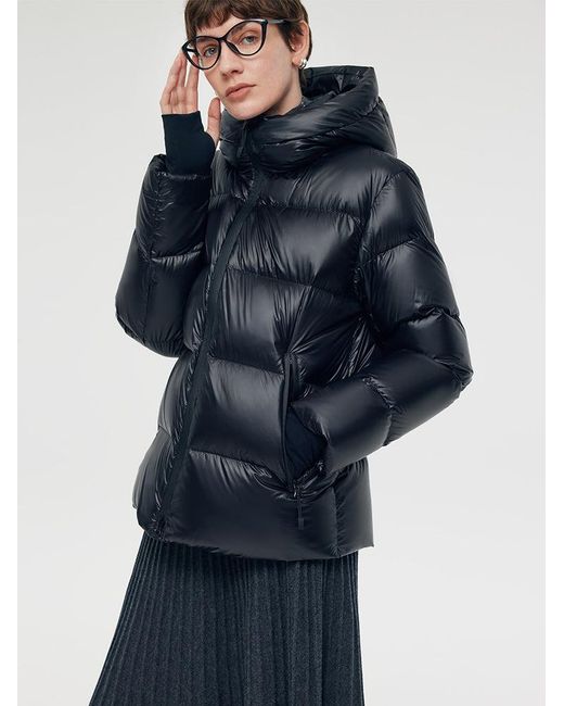 GOELIA Blue Windproof Warm Hooded Goose Down Jacket