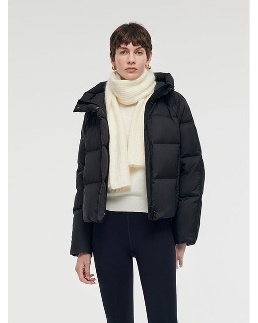 GOELIA Blue Hooded Goose Down Jacket