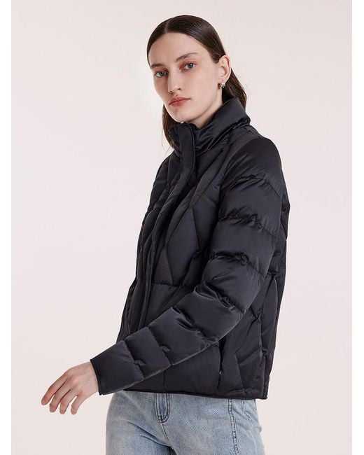 GOELIA Blue Stand Collar Goose Down Jacket