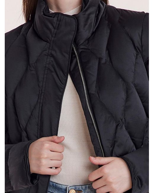 GOELIA Blue Stand Collar Goose Down Jacket