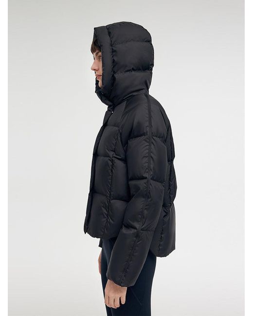 GOELIA Blue Hooded Goose Down Jacket