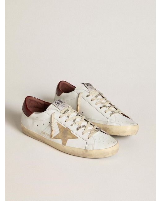 【送料&関税込】Golden  Superstar Classic Leather Sneak Super-Star LTD with silver leather star and croc-print
