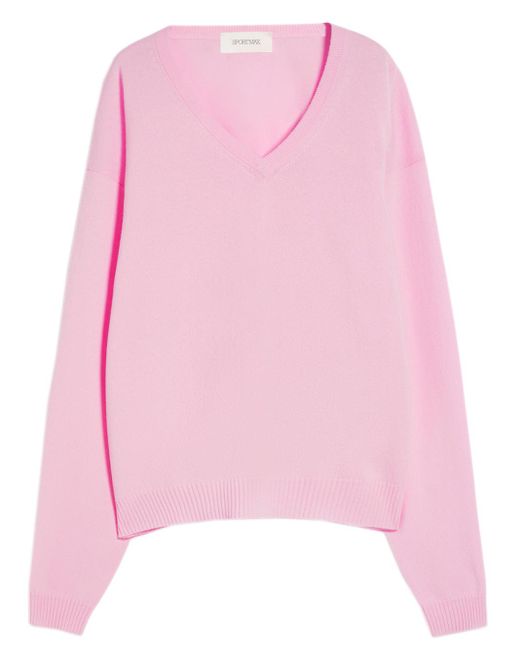 Sportmax Pink Pullover Etruria