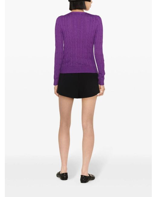 Maglione con ricamo di Polo Ralph Lauren in Purple