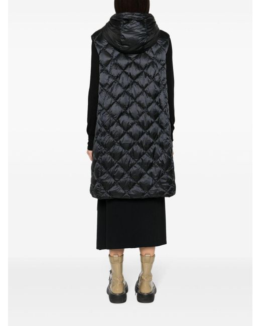 Max Mara Black The Cube Hooded Grosgrain-trimmed Quilted Shell Down Vest