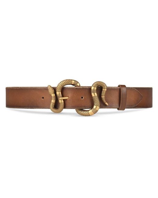 Gucci Brown Leather Belt With Snake Buckle for men