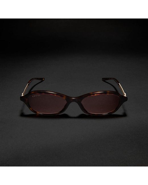 Gucci Brown Oval-Frame Sunglasses