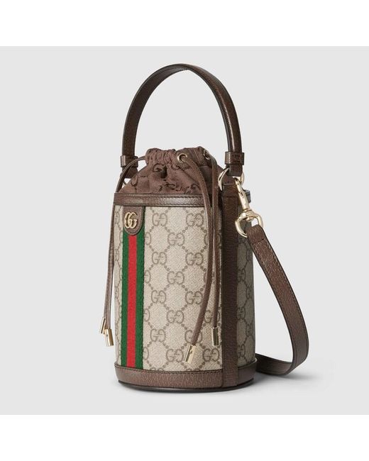 Mini Borsa A Secchiello Ophidia di Gucci in Natural
