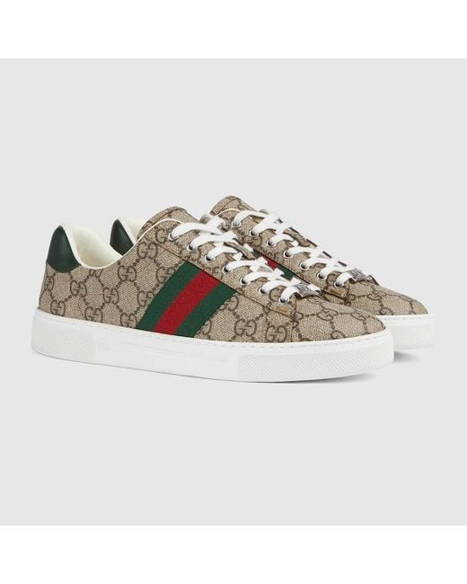 Gucci Brown Ace Sneaker With Web